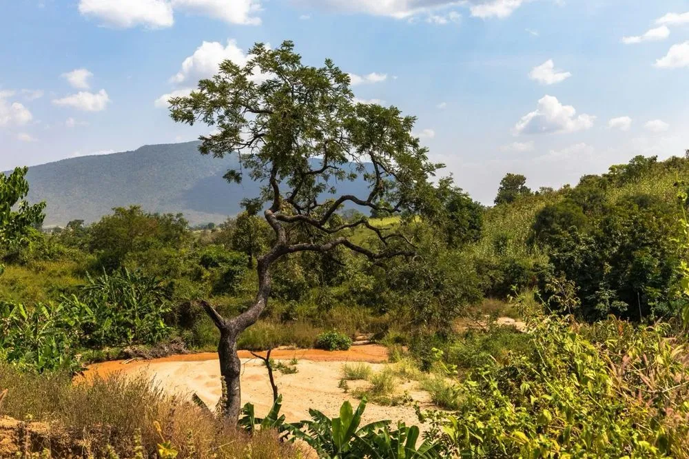 Nigeria from €359 Roundtrip: Royal Air Maroc Flights from Barcelona