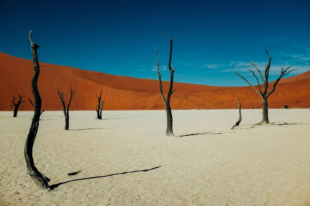 Namibia from €513 Roundtrip: SWISS & Edelweiss Flights from Oslo