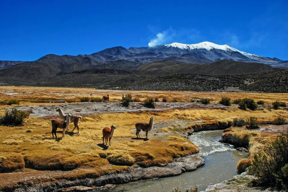 Bolivia from €590 Roundtrip: Avianca Flights from Madrid to Santa Cruz