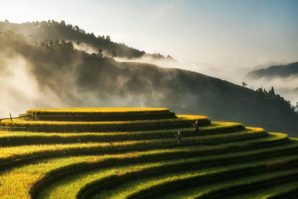 Ho Chi Minh City, Vietnam from €403 Roundtrip: Air India Flights from Vienna