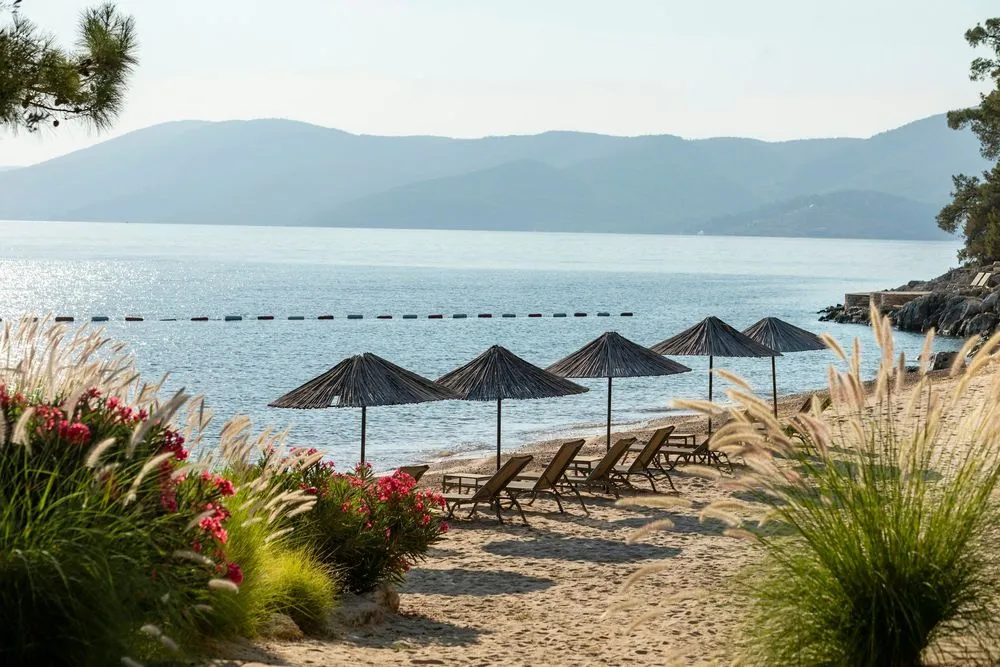 Bodrum, Turkey from €44 One Way: direct Flights from Vienna