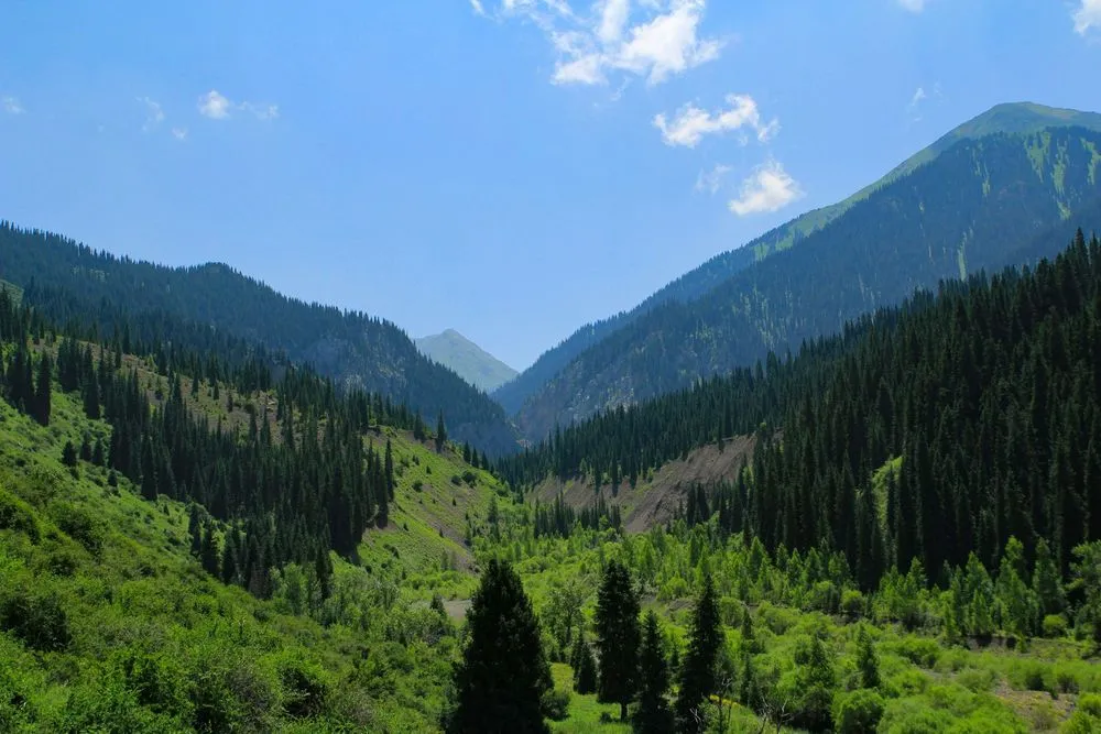 Almaty, Kazakhstan from €126 One-Way: AJet Flights from Frankfurt