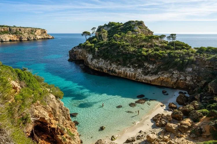 Palma de Mallorca from €91 One-way: Condor Business Class from Hamburg