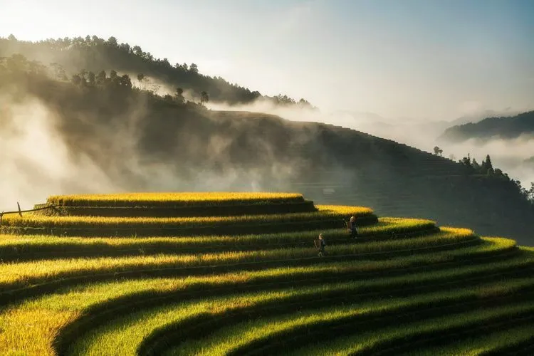 Ho Chi Minh City, Vietnam from €403 Roundtrip: Air India Flights from Vienna